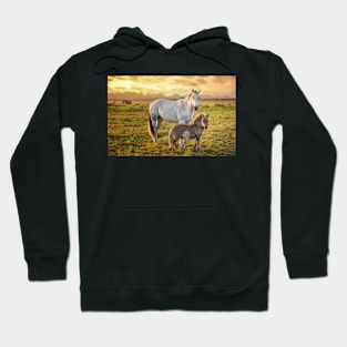 Horses and a Golden Sunset Hoodie